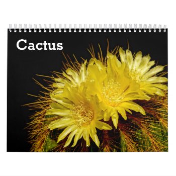 Cactus 2024 Calendar by sunbuds at Zazzle