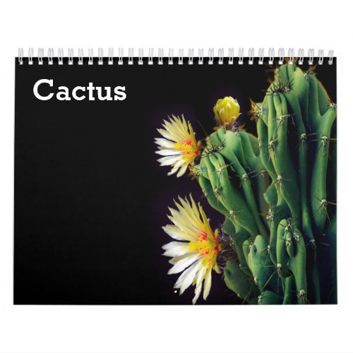 Cactus 2024 calendar