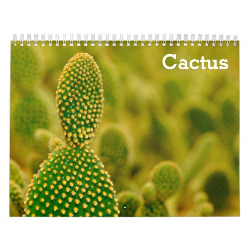 Cactus 2024 calendar