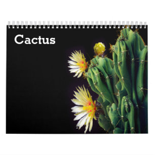 Cactus 2027 calendar