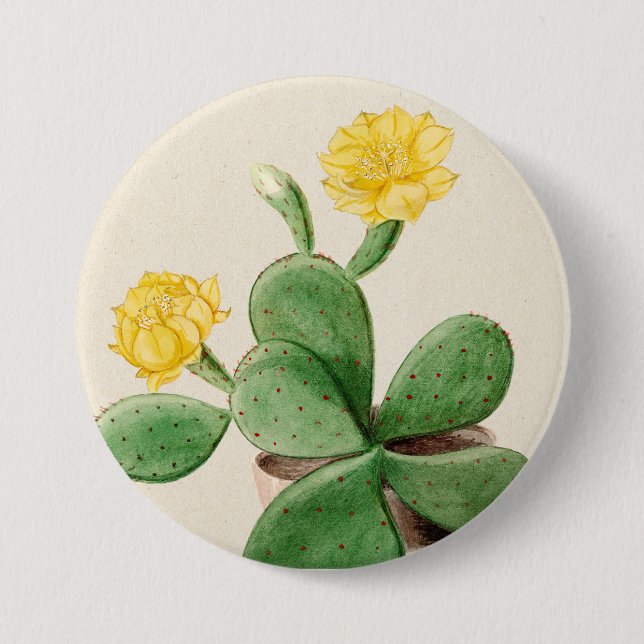 Cactus 2 button (Front)
