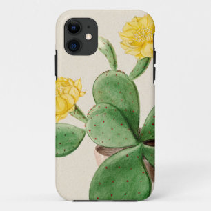 Cactus 2 iPhone 11 case