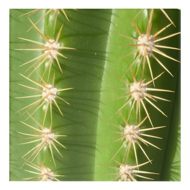 Cactus Acrylic Wall Art (Front)