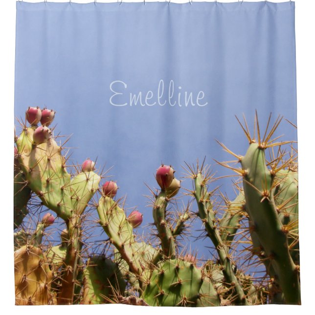 Cactus and Blue Sky Photo any Name Shower Curtain (Front)