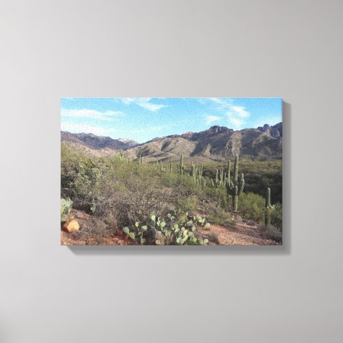 Cactus and Catalina Mountains in Tucson Arizona Canvas Print