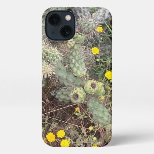 Cactus and Flowers Hiking in San Diego Photo iPhone 13 Case