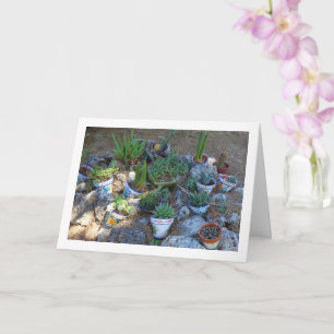 Cactus and Succulent Plant Rockery Card