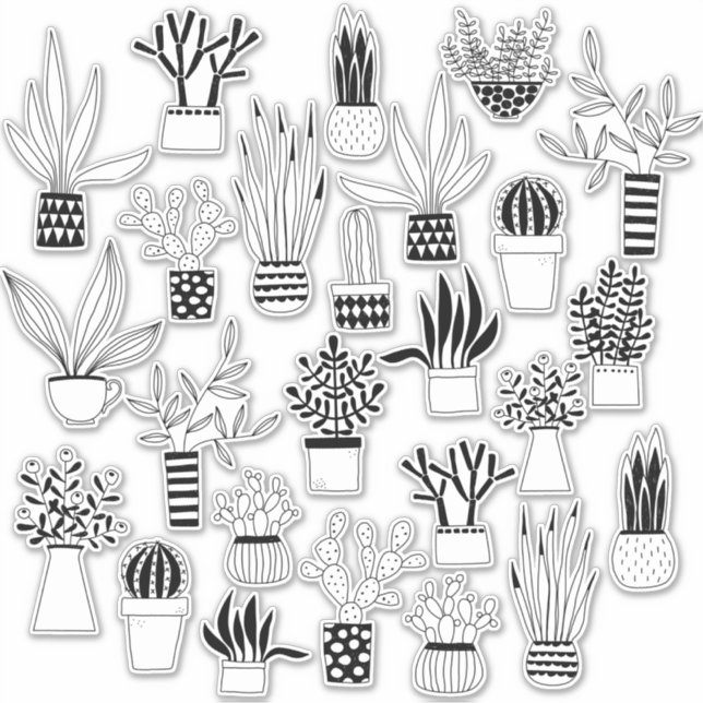 Cactus and Succulent Sticker (Front)