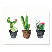 Cactus and Succulent Trio Two