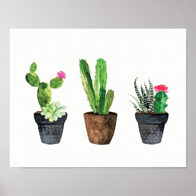 Cactus and Succulent Trio Two Poster (Front)