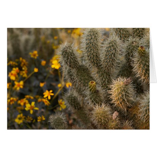 Cactus and Wildflowers (Front Horizontal)