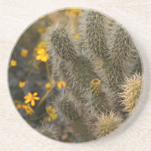 cactus and wildflowers coaster
