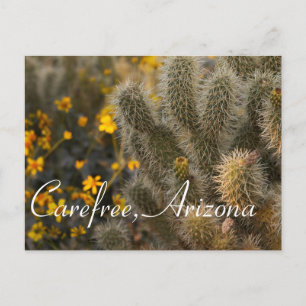 Cactus and Wildflowers in Carefree, Arizona Postcard
