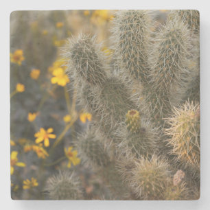 cactus and wildflowers stone coaster