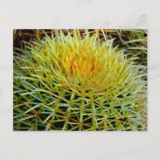Cactus art #2 Postcard (Front)
