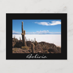 Cactus at the Salar de Uyuni black border postcard