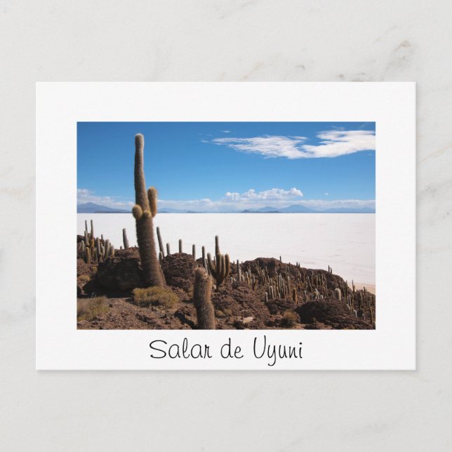 Cactus at the Salar de Uyuni text border postcard (Front)