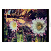 cactus bloom cards (Front Horizontal)
