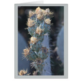 cactus bloom cards (Front)