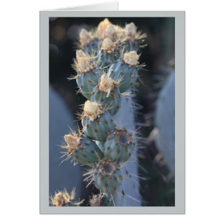 cactus bloom cards