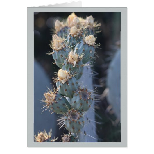 cactus bloom cards (Front)