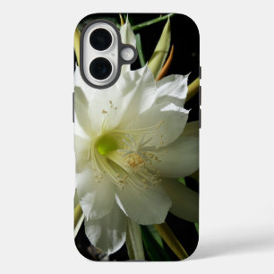 Cactus Bloom iPhone 16 Case