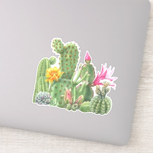 Cactus Blooming Garden Watercolor Southwest Desert Sticker