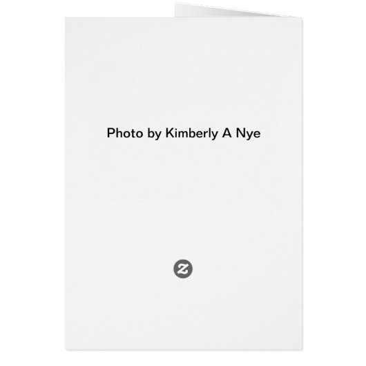 cactus bouquet (Back)