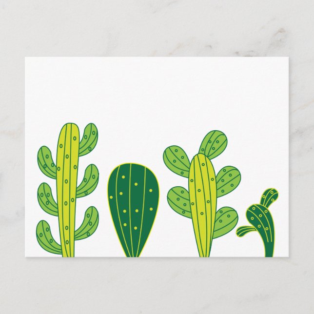 Cactus Cacti  Postcard (Front)