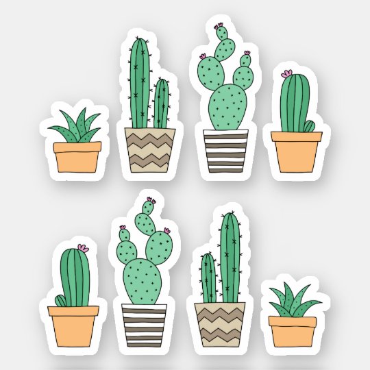 Cactus cacti succulent stickers | Zazzle