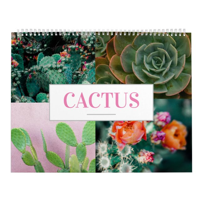Cactus Calendar Nature Calendar Home Wall (Cover)