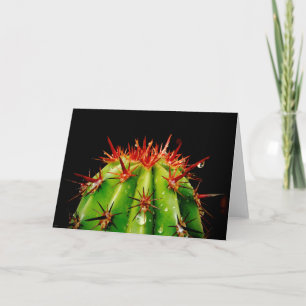 Cactus card