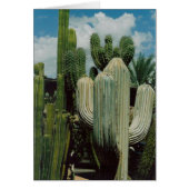 Cactus Card (Front)