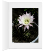 Cactus Cards (Inside (Right))