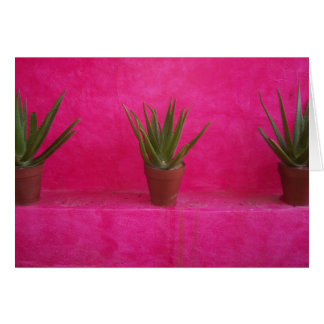 cactus cards