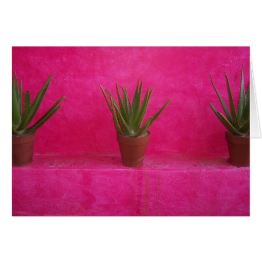 cactus cards (Front Horizontal)