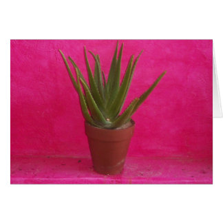 Cactus Cards