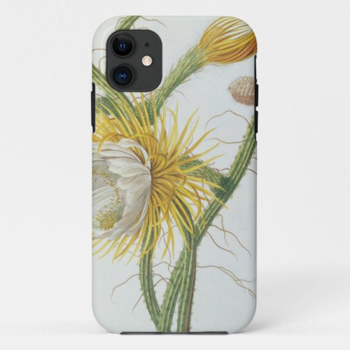 Cactus Cereus from Trews Plantae Selectae 175 iPhone 11 Case