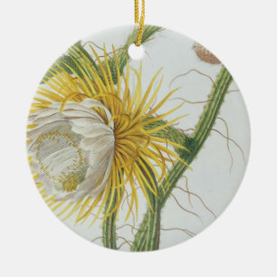 Cactus: Cereus, from Trew's 'Plantae Selectae' 175 Ceramic Ornament