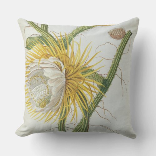 Cactus Cereus from Trews Plantae Selectae 175 Throw Pillow