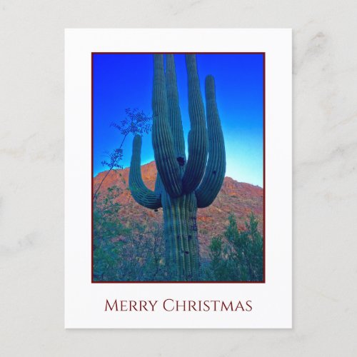 Cactus Christmas  Holiday Card