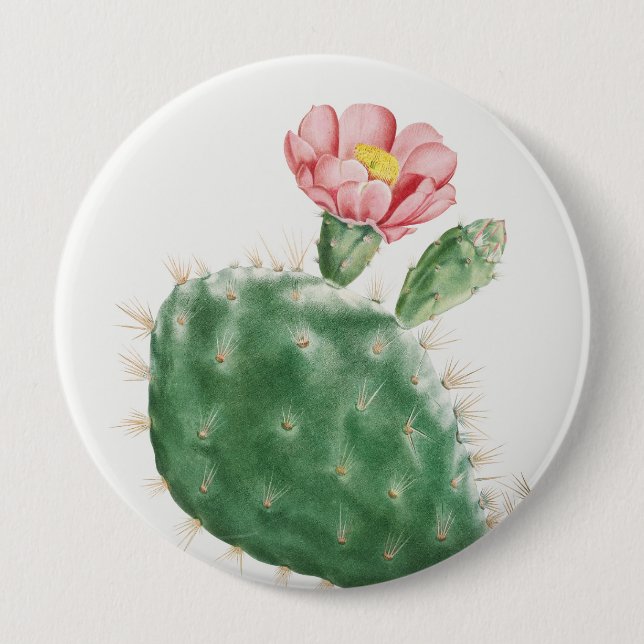 Cactus Cochenillifer, Antique Illustration, 1799  Button (Front)