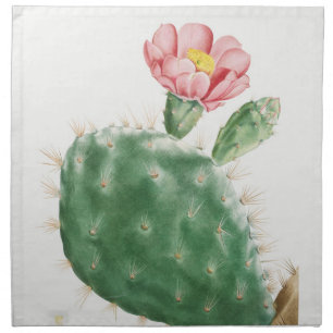 Cactus Cochenillifer, Antique Illustration, 1799  Cloth Napkin