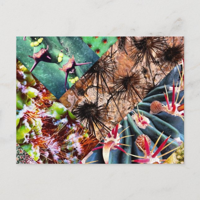 Cactus Collage Postcard (Front)