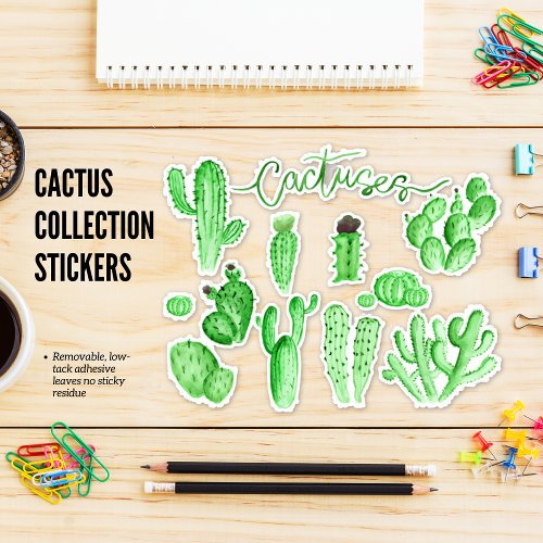 Cactus Collection Stickers