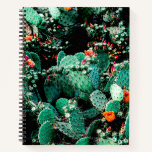 Cactus College Notebook