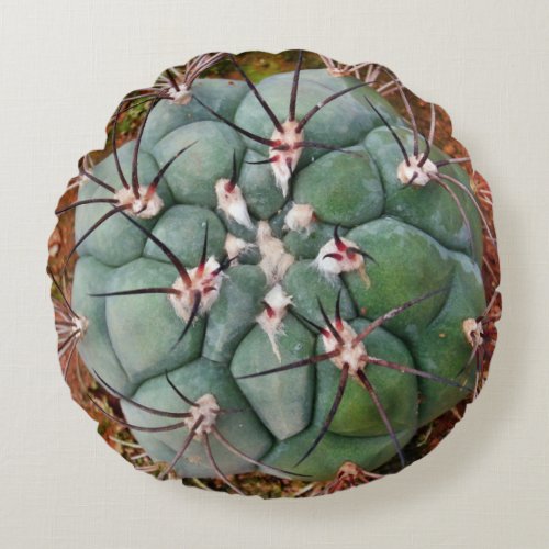 Cactus cushion