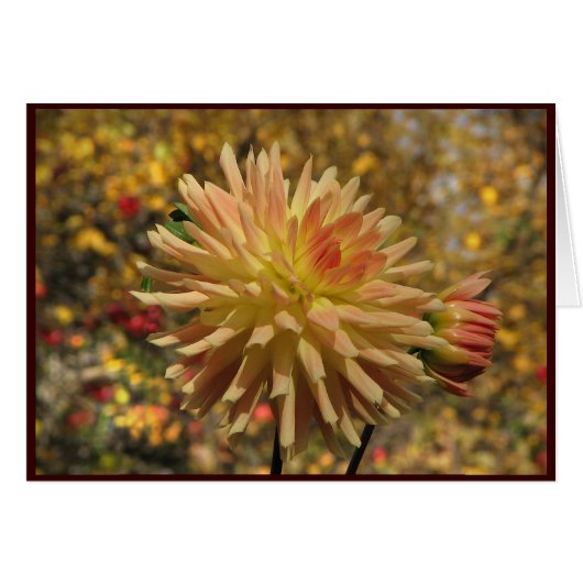 Cactus Dahlia Cards (Front Horizontal)