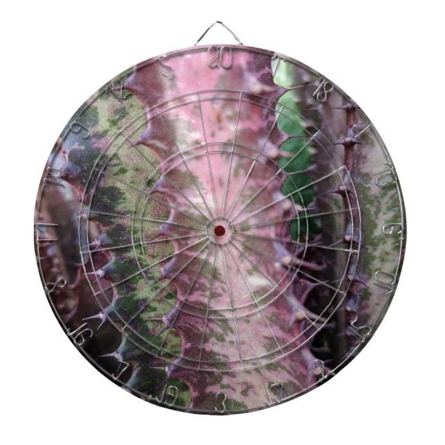Cactus Dart Board (Front)
