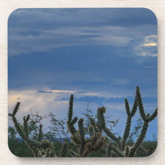 Cactus Desert Monsoon Beverage Coaster